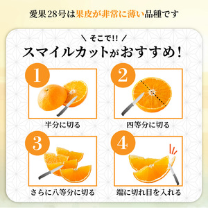 【12月上旬から発送】 愛果28号 ギフトボックス 約1kg ご贈答 A品 秀品（ 愛媛みかん 愛媛ミカン みかん ミカン mikan 蜜柑 フルーツ 果物 くだもの お取り寄せ 産地直送 数量限定 