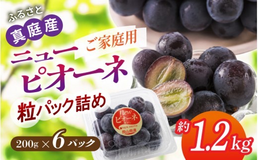 
                  〈パック詰め〉岡山の自然がはぐくむピオーネ 約1.2kg 【beac008-01】
                