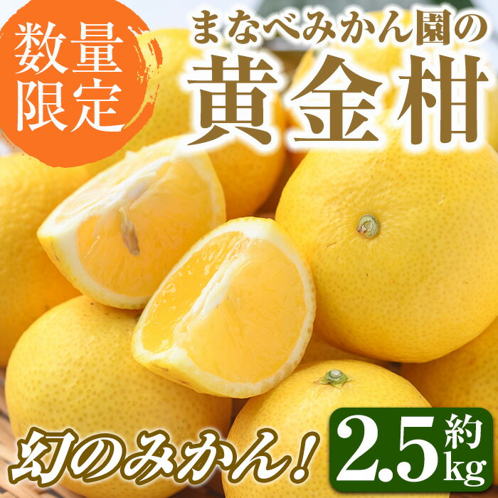 【ふるさと納税】＜先行予約受付中！2026年2月上旬以降順次発送予定＞まなべみかん園の黄金柑(約2.5kg) 国産 鹿児島県産 阿久根市産 柑橘類 果物 フルーツ みかん ミカン 蜜柑 期間限定 数量限定 贈答用 ギフト プレゼント デザート 【有限会社まなべみかん園】a-14-3-z