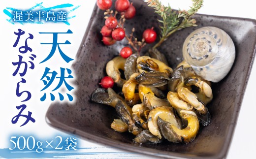 天然ながらみ 砂抜き不要 1kg (500g × 2袋) ながらみ  おつまみ お酒のアテ 肴 海産物 国産 アサリ 愛知県 田原市 新鮮 砂抜き 海鮮 魚介類 魚介 貝 家庭