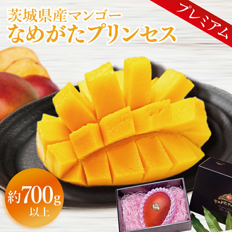 【ふるさと納税】【2026年6月下旬より順次発送】★数量限定★マンゴー なめがたプリンセス プレミアム 1玉｜マンゴー フルーツ 果物 くだもの 数量限定 先行予約 茨城県 行方市(EJ-5)