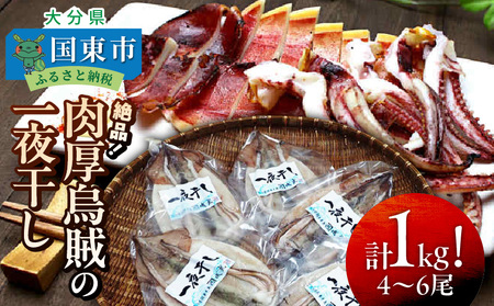 2366R_絶品！肉厚烏賊の一夜干し1kg