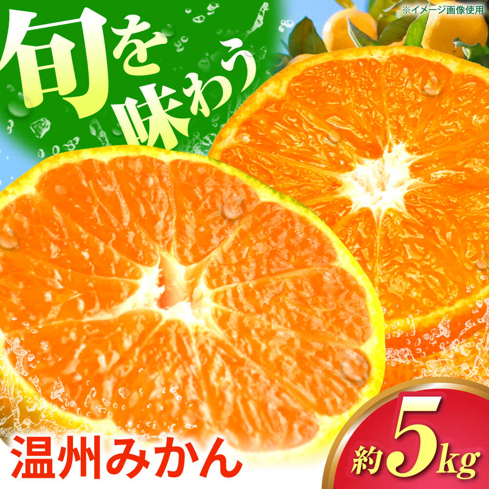 【ふるさと納税】 温州みかん 5kg 極早生 早生 中生 晩生 みかん 【池田農園】[ZEX004] 果物 くだもの フルーツ みかん ミカン 蜜柑 温州 うんしゅう ウンシュウ 柑橘 果汁 たっぷり 濃厚 ジューシー 味わい 豊か 香り 産地直送 国産 九州 熊本県 山鹿