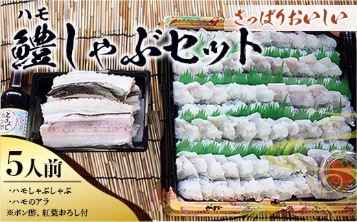
            B012 鱧（ハモ）しゃぶセット（5人前） 冷蔵 山口県産
          