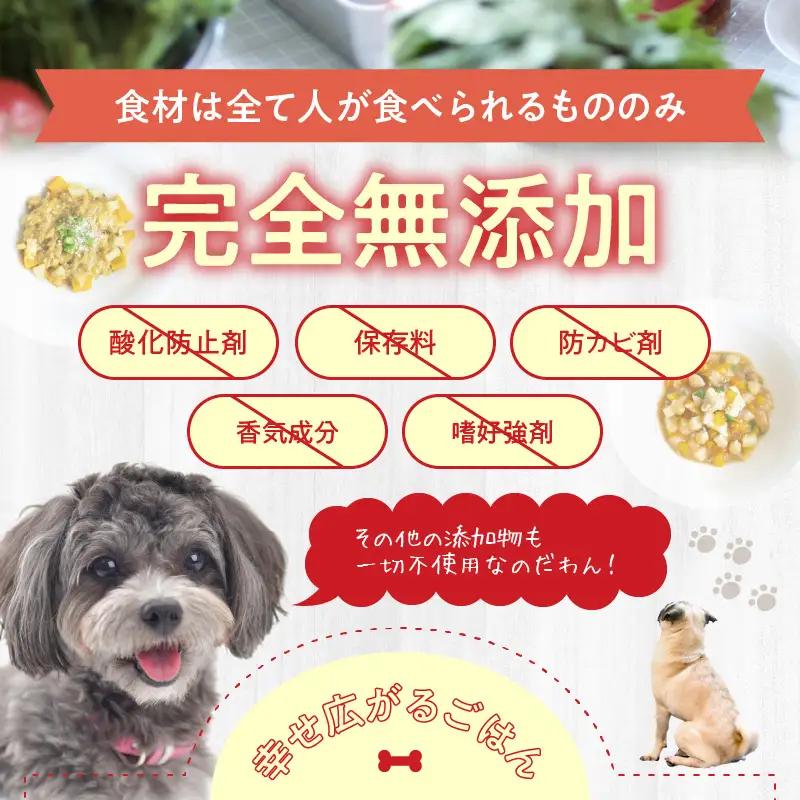 ドッグフード 無添加 お肉ごはん5点セット 【犬の手作りごはん】 R15006