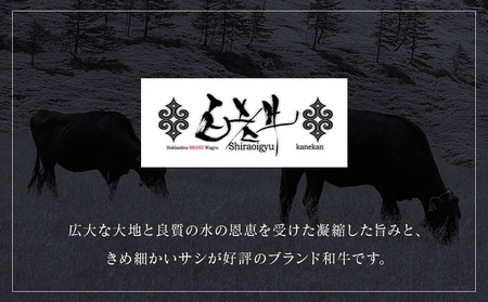 北海道産 白老牛 ブルーチーズ ハンバーグ 10個セット 冷凍 牛肉 肉 白老 BY127