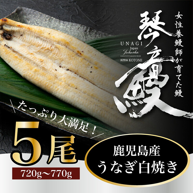 【ふるさと納税】国産 うなぎ 白焼き（鹿児島県産） 5尾 (720〜770g) 【国産100％ 鰻 ウナギ 白焼 土用丑の日 丑の日 冷凍 魚介 海鮮 おかず お祝い ご褒美 贅沢 おすすめ 人気 花立山養鰻 福岡県 筑前町 HY008】【価格改定】