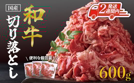 【2週間以内発送】国産和牛切り落とし600ｇ