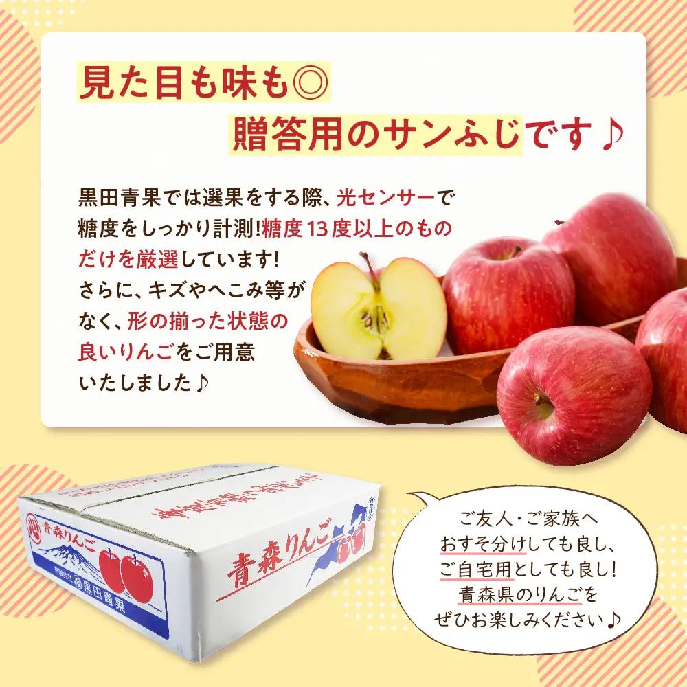 【2026年11月後半発送】 りんご 約10kg サンふじ 青森産 糖度 13度以上 贈答用 特選～特秀