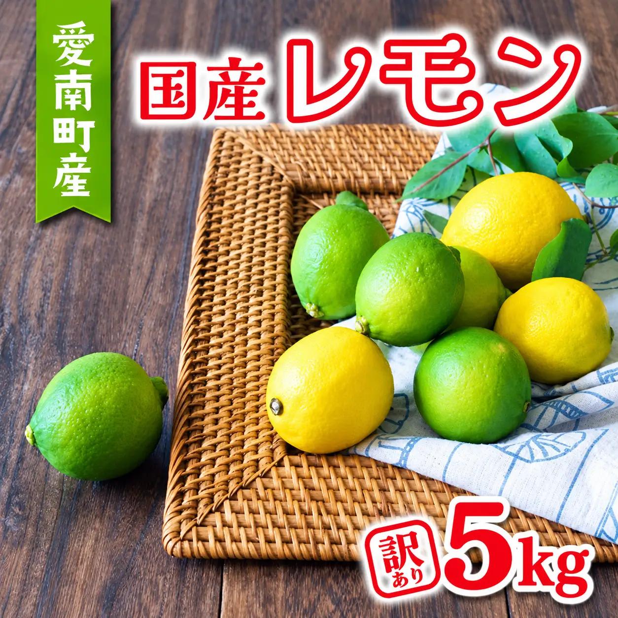 【先行予約：2026年11月上旬～発送】 訳あり レモン5kg 7000円 柑橘 檸檬 国産 れもん フルーツ 果物 果実 産地直送 農家直送 数量限定 期間限定 特産品 瀬戸内 ワックス 防腐剤 不使用 わけあり 人気 新鮮 少量 お試し レモネード 塩レモン レモンソース はちみつレモン あいなんマザーズ 愛南町 愛媛県
