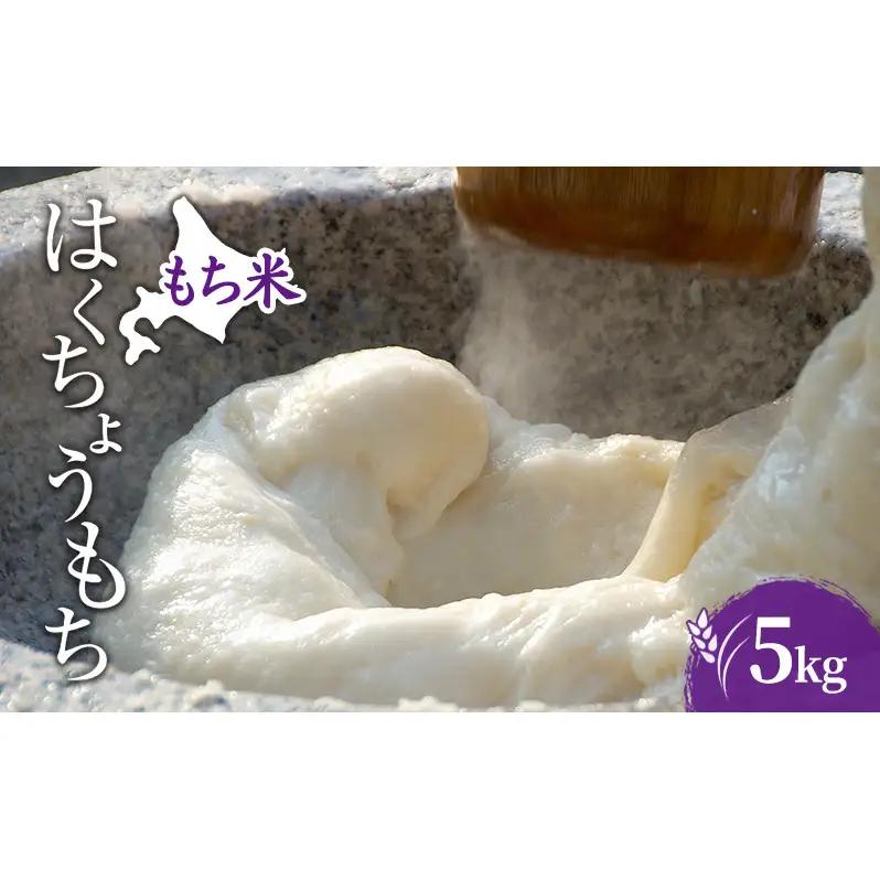 米 はくちょうもち 白米 5kg 5キロ 道産米 北海道米