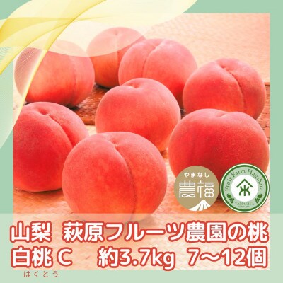 【2026年発送】山梨・萩原フルーツ農園の白桃　C (約3.7kg 7～12個)【配送不可地域：離島】