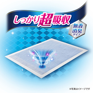 ペットシーツ 無香 レギュラー 定期3回 デオシート ペットシーツ