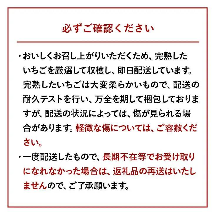 【先行予約】白いちご「淡雪」・2パック入×1箱 | 豊後高田市 白いちご