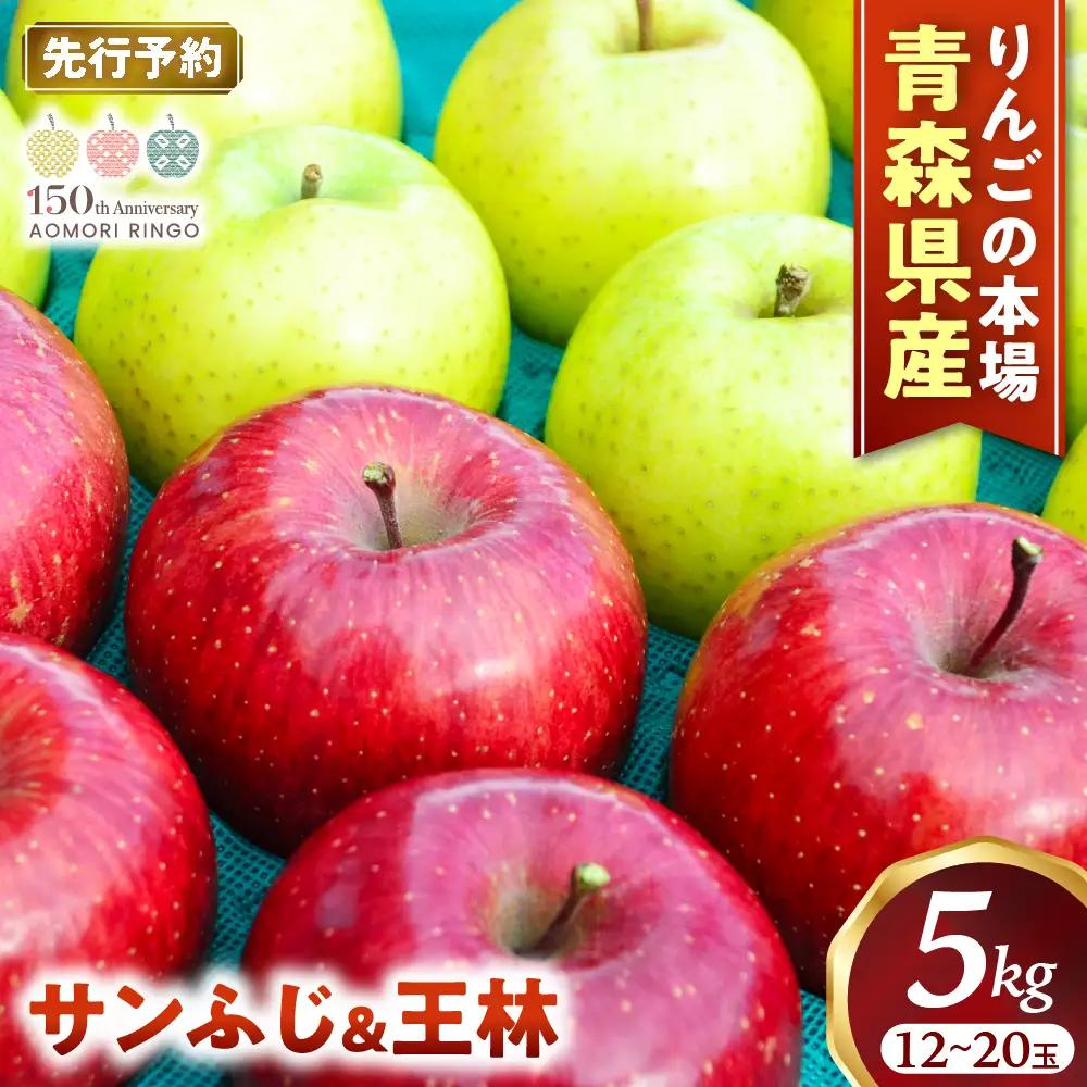 【詰め合わせ】青森県産りんご サンふじ＆王林 セット 約5kg 11月下旬～ りんご