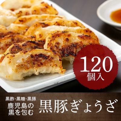 黒豚餃子セット(12個入×10パック)　A02046