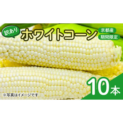 
                  ＜訳あり＞京都府産 白い とうもろこし　ホワイトコーン 10本 (個包装)【1618532】
                
