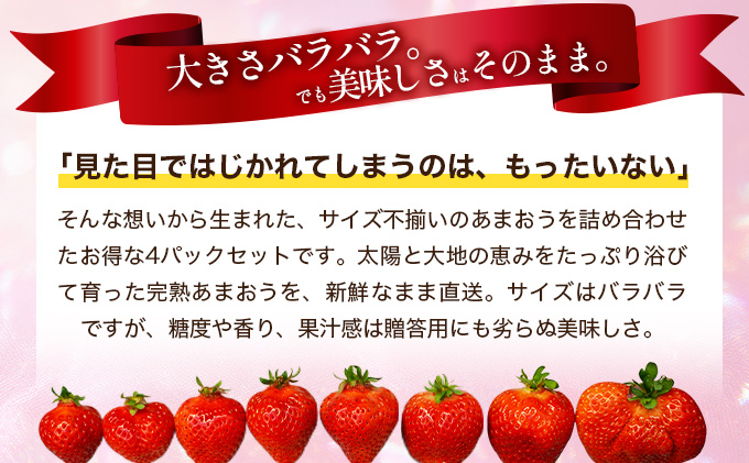 福岡県産 特別栽培 あまおう サイズいろいろMIX 約1140g（約285g×4パック）【1～2月発送】