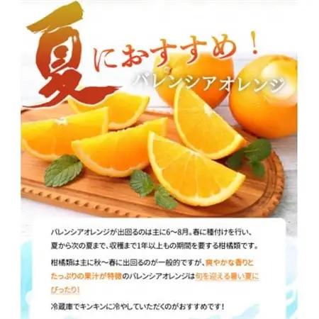 【2026年6月下旬頃発送】秀品　希少な国産バレンシアオレンジ　5kg【日高町】【配送不可地域：離島】【1216979】