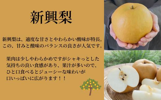 「新興梨」
ひと口食べるとジューシーな味わいな味わいが口いっぱいに広がります。