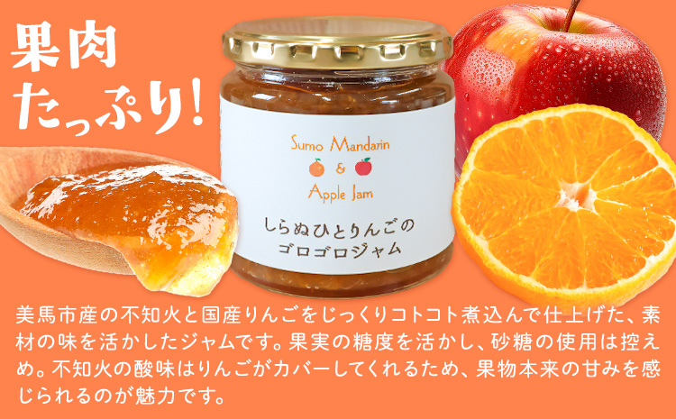 ジャム フルーツ 不知火 りんご しらぬひとりんごのゴロゴロジャム 1個 (1個250g) 有限会社美馬交流館《30日以内に出荷予定(土日祝除く)》徳島県 美馬市 送料無料 ジャム 果物 果肉 ごろご