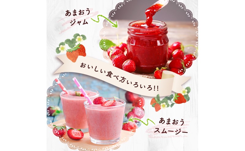 苺 福岡県産 あまおう 1500g（6パック） 先行予約 発送予定：2026年2月より順次発送 いちご イチゴ 果物 ※配送不可:離島