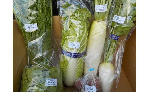 農園・空のこだわり 野菜 8～10品目 _S24