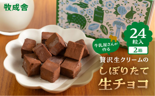 ＜8月から寄附額改定＞生チョコレート  2箱(1箱12粒入り)   生クリーム使用 チョコレート スイーツ 冷凍 洋菓子 ギフト 贈答 贈り物 プレゼント 牧成舎 ホワイトデー