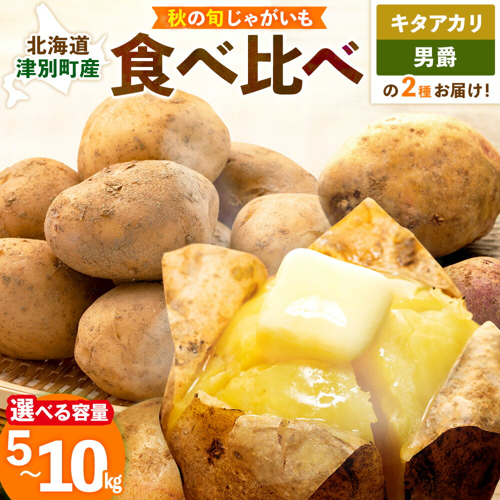 【ふるさと納税】【先行予約】秋の旬 じゃがいも2種食べ比べ 5〜10kg ピンクの八百屋〜ナツやさい〜 | じゃがいも ジャガイモ 男爵 キタアカリ 食べ比べ 旬 秋 産地直送 北海道 津別町 送料無料