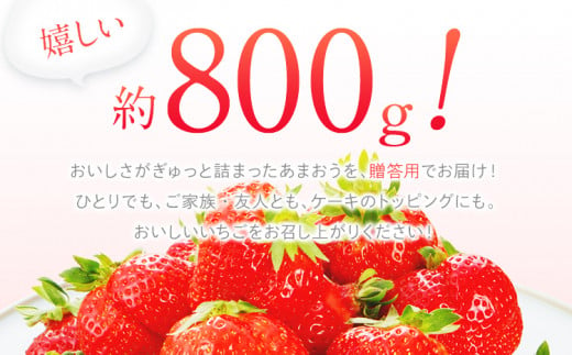 【2025年1月～2月順次発送予定】 あまおう 約400g×2パックＥＸ　 合計約800g