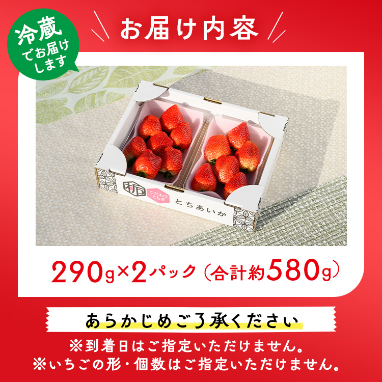 いちご（とちあいか） 290g×2パック 580g以上｜先行予約 数量限定 栃木県 果物 くだもの フルーツ ※2026年11月～発送_イメージ4