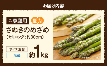 ご家庭用アスパラガス「さぬきのめざめ」（セミロング）夏芽　サイズ混合約1㎏_mk059-013