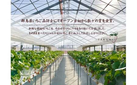 苺屋たくみの冷凍いちご｜冷凍いちご 群馬県 前橋市