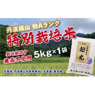 ふるさと納税 丹波篠山市 丹波篠山産　特別栽培米　越光(栽培期間中農薬不使用)(5kg×1袋　精米)