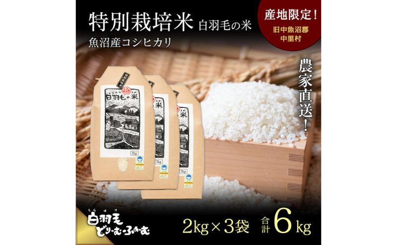 【通年受付】≪令和6年産≫　農家直送！魚沼産コシヒカリ特別栽培「白羽毛の米」精米 (2kg×3袋) 6kg