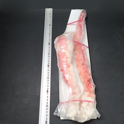 ふるさと納税 根室市 ボイルたらばがに脚約1kg(脚2本シュリンク爪あり)×2P(エアブラスト凍結) D-11049 |  | 01