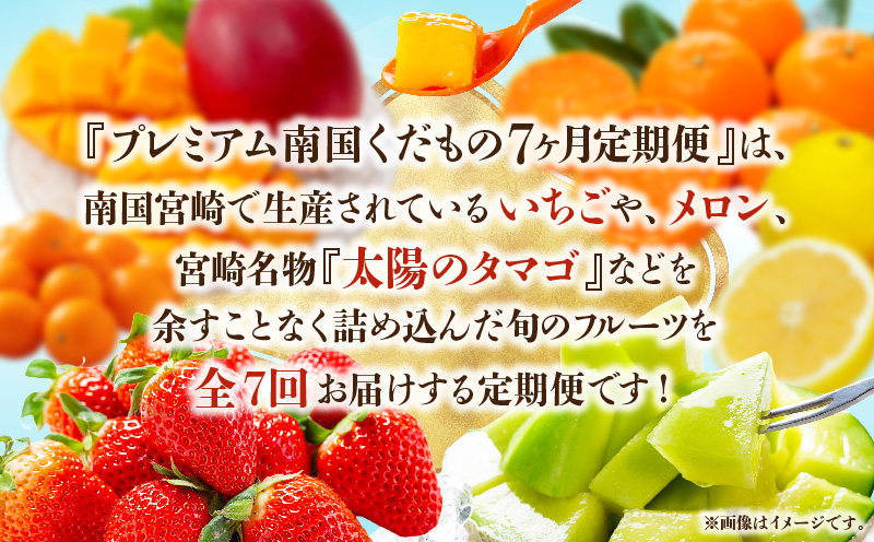 《2027年発送先行予約》【数量・期間限定】プレミアム南国くだもの7ヶ月定期便 フルーツ 果物 定期便 7回 いちご 日向夏 金柑 せとか マンゴー 太陽のタマゴ メロン