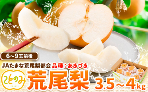 先行予約 梨 秀品 荒尾梨 新ブランド(愛称) 「ことのみ」 あきづき  約3.5～4kg フルーツ 果物 旬 贈答 ギフト 《9月上旬-9月中旬頃出荷》熊本県荒尾市産含む JAたまな荒尾梨部会