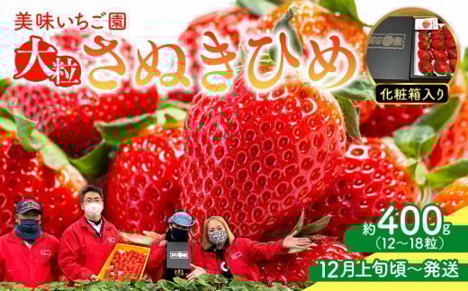 
            【12月上旬頃～発送】美味いちご園「さぬきひめ」化粧箱入り 400g
          