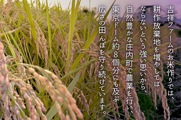 ＜4月中旬発送＞庄内米6か月定期便！吉祥ファーム つや姫 4kg（入金期限：2026.3.25）ブランド米 精米 米 お米 白米 山形 庄内地方 庄内平野 コシヒカリの原点、亀の尾発祥の地 庄内 4月