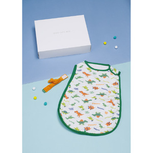 ベビーお休みセット　５０００　ディノサウルス　ピクチャーブック