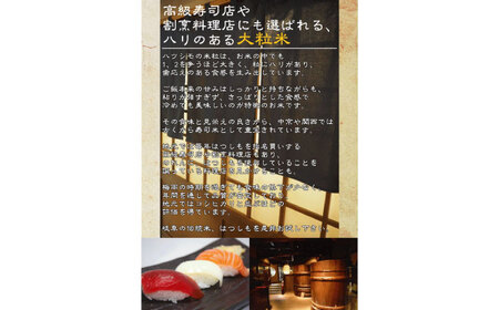 [美濃の希少種]無洗米 はつしも 10kg(5kg×2袋) 岐阜県産 令和4年産【1428680】