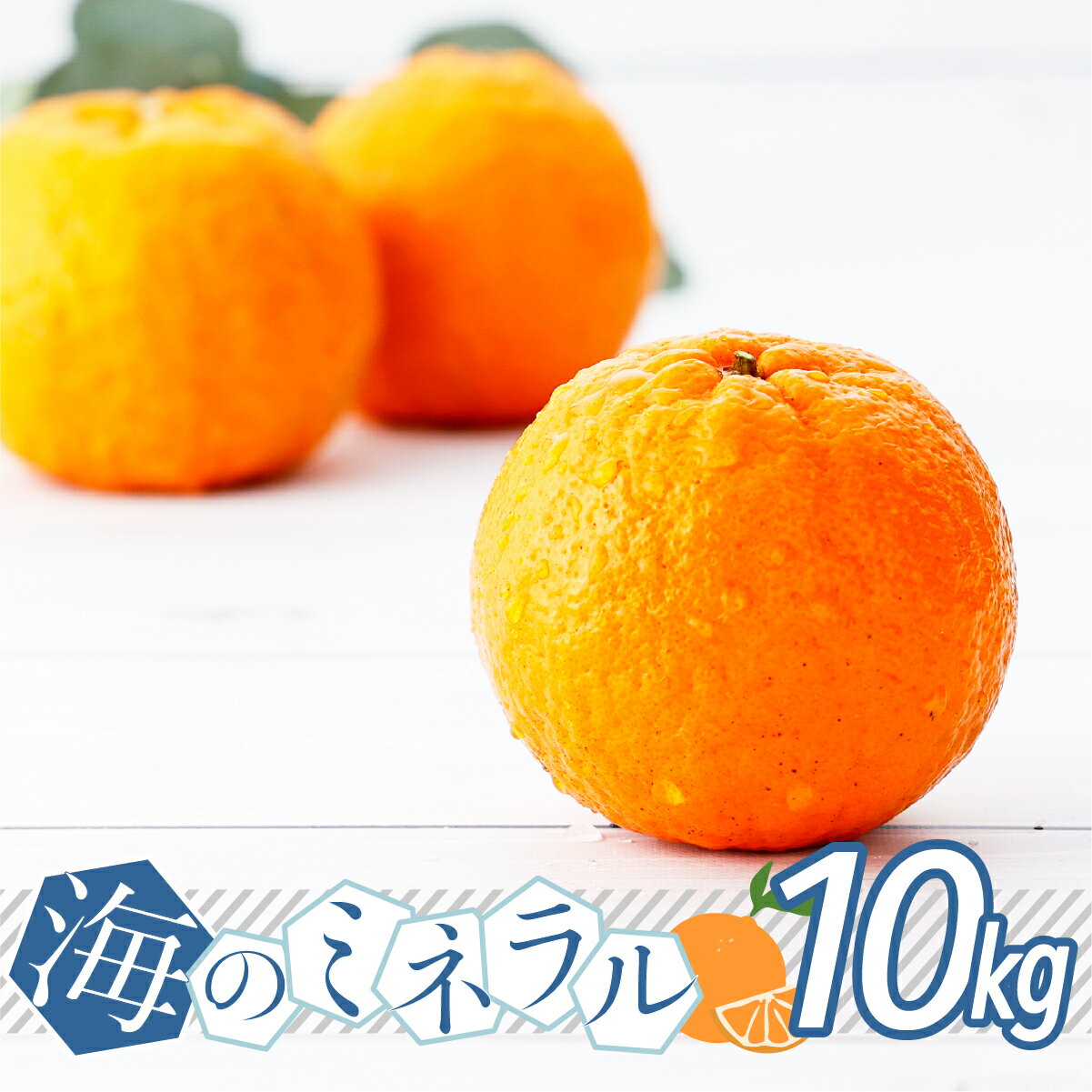 【ふるさと納税】＜先行予約＞ポンカン 海のミネラルをたっぷり含んだ甲浦のポンカン 10kg 国産 東洋町産 甘い 栄養たっぷり ジューシー フルーツ 蜜柑 ミカン 果肉 四国 お取り寄せ フルーツ 果物 家庭用 自宅用 送料無料