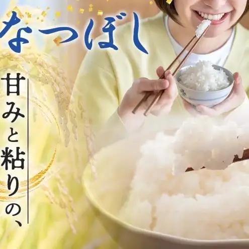 米 お米 ななつぼし 無洗米 15kg 令和8年産 月形町 お米 ななつぼし