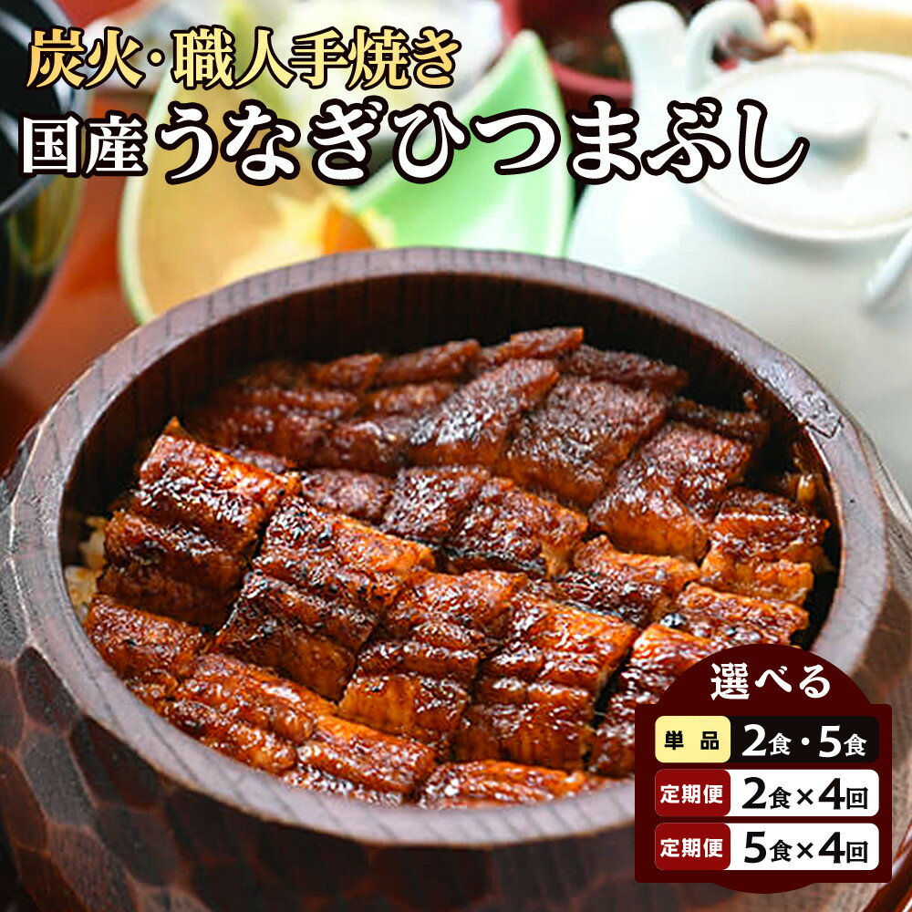 【ふるさと納税】＜選べる！内容量＞【炭火・職人手焼き】　国産うなぎひつまぶし　ねぎ・わさび・のり・お出汁・たれ・山椒　和食竜むら(2食分 or 5食分／単品 or 定期便) | 愛知県 名古屋市 愛知 名古屋 楽天ふるさと
