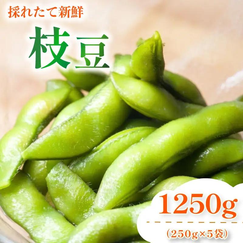 【6月順次発送 枝豆 5袋】 採れたて濃厚！ 枝豆 旬 濃厚 丸新柴本製茶 静岡 県 牧之原市
