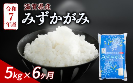 みずかがみ 5kg 6ヶ月定期便 令和7年産 米 こめ ご飯 米 定期便 6回定期便 6か月定期便 6回 6か月 5キロ 令和7年 滋賀 彦根