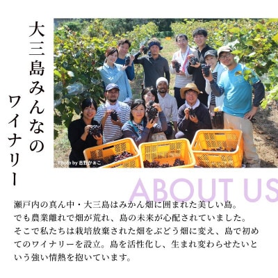 【数量限定】島白スパークリング《750ml》【V003320】【配送不可地域：離島】【1722958】