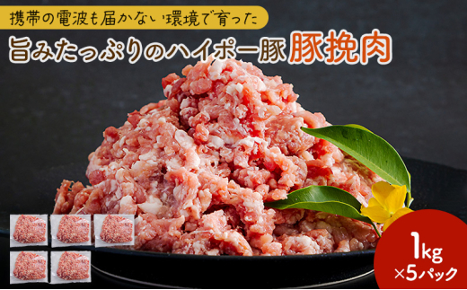[№5681-0152]豚肉 阿武町産 豚挽肉 1kg×5パック 小分けセット | 携帯の電波も届かない環境で育った旨みたっぷりのハイポー豚 ひき肉 挽肉 豚 肉 お肉 ※配送不可:離島