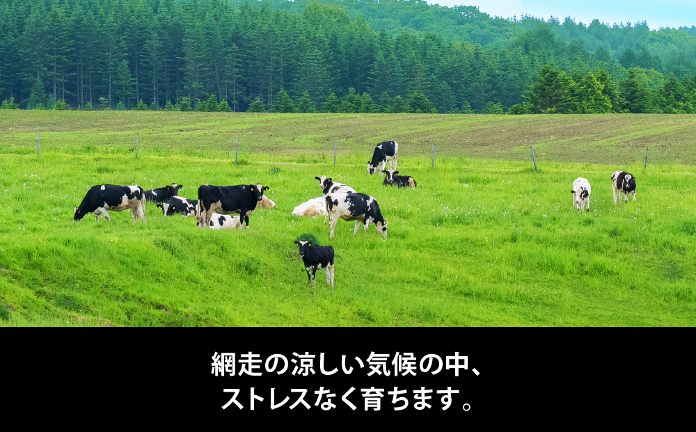 【定期便】Rimoカップソフトクリーム〈120ml×12個〉 全3回 | アイス ソフトクリーム アイスクリーム カップソフト ABA021